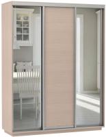 Шкаф-купе Экспресс Трио Медиум (2,1х0,6х2,2 - 3 двери) в интернет магазине Планета Комфорта Фото shkaf-kupe-v-prikhozhuyu шкаф-купе экспресс трио медиум (2,1х0,6х2,2 - 3 двери) производитель Мебельная компания Е1