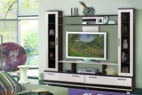 Фото stenki-v-gostinuyu стенка фиджи  производитель Мебель Маркет