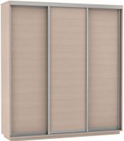 Шкаф-купе Экспресс Трио Элемент (2,1х0,6х2,2 - 3 двери) в интернет магазине Планета Комфорта Фото shkaf-kupe-v-prikhozhuyu шкаф-купе экспресс трио элемент (2,1х0,6х2,2 - 3 двери) производитель Мебельная компания Е1